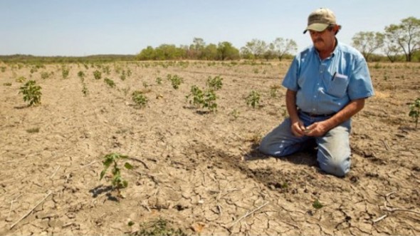 Expert: TOP-7 motive de ce AGRICULTURA contează